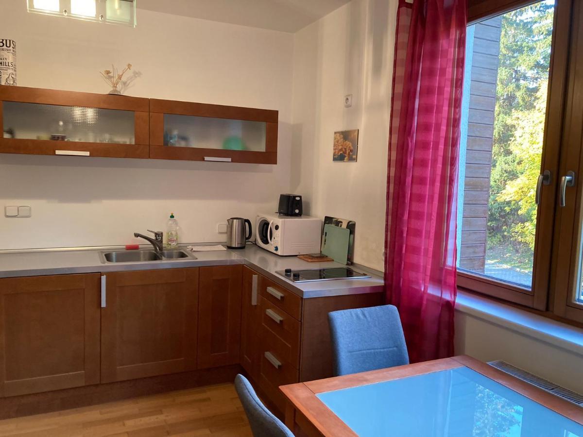 Studio Apartment Michael Spindleruv Mlyn Exterior photo