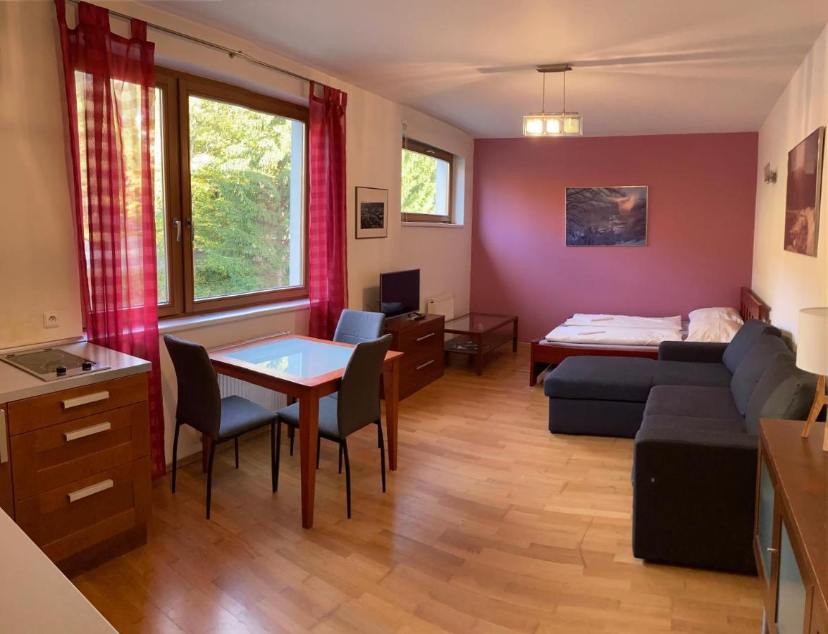 Studio Apartment Michael Spindleruv Mlyn Exterior photo